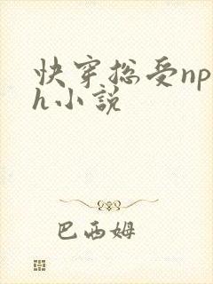 快穿总受np高h小说封面