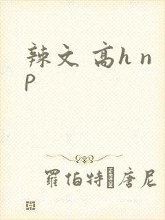 辣文 高h np