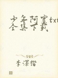少年阿宾txt全集下载