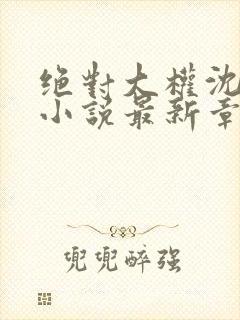 绝对大权沈向东小说最新章节更新时间封面