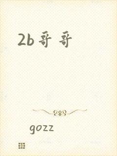 2b哥哥