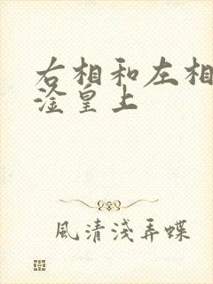 右相和左相一起淦皇上