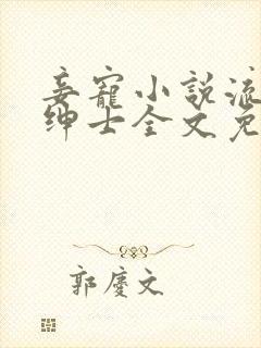 妾宠小说流浪的绅士全文免费阅读封面