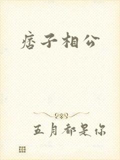 痞子相公封面