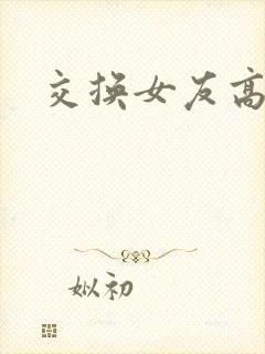 交换女友高h