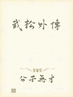 武松外传封面
