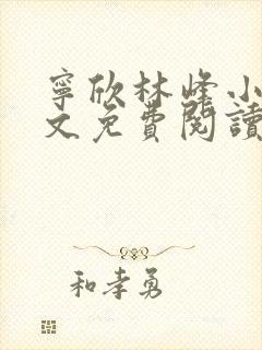 宁欣林峰小说全文免费阅读无弹窗