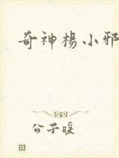 奇神杨小邪封面