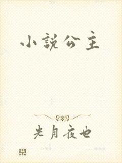 小说公主封面