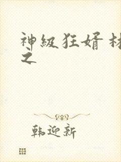 神级狂婿 林平之