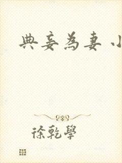 典妾为妻 小说封面