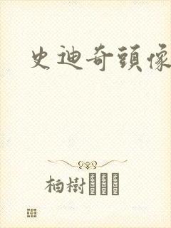史迪奇头像封面