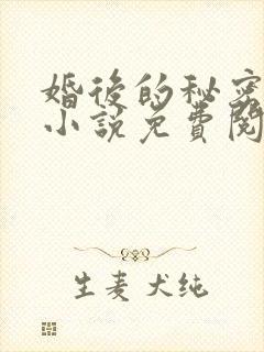 婚后的秘密张妍小说免费阅读全文