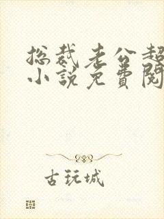 总裁老公超棒的小说免费阅读全文