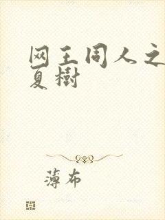 网王同人之桃生夏树封面