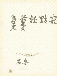 枭爷轻点宠全文免费