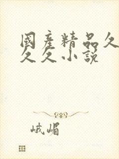 国产精品久久久久久小说