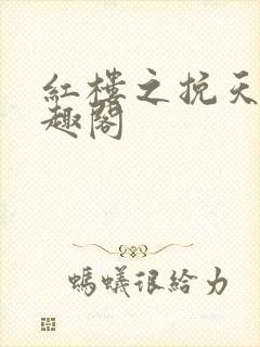红楼之挽天倾笔趣阁