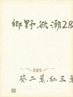 乡野欲潮28章