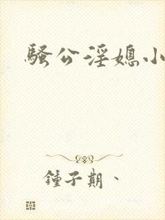 骚公淫媳小说
