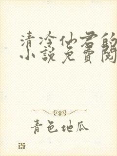 清冷仙君的堕落小说免费阅读