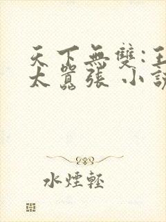 天下无双:王妃太嚣张 小说