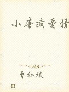 小唐璜爱情历史