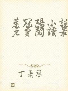 叶冠阳小说全文免费阅读最新章节