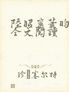 陆昭宁萧昀在线全文阅读