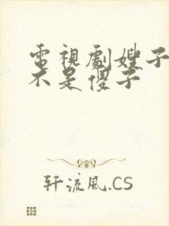 电视剧嫂子我真不是傻子