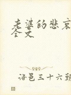 老婆的悲哀小说全文