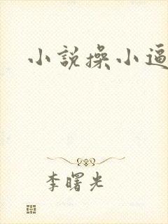 小说操小逼