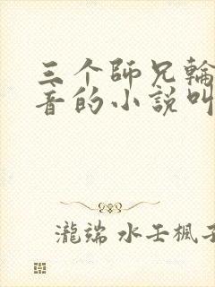 三个师兄轮流上音的小说叫什么