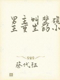 男主叫裴砚,女主重生的小说