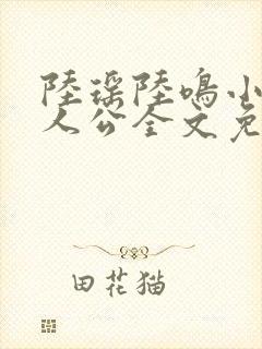 陆瑶陆鸣小说主人公全文免费阅读笔趣阁封面