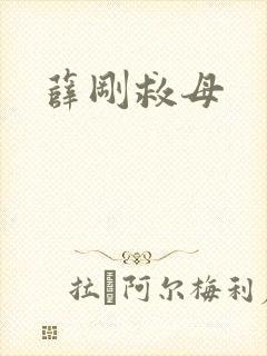 薛刚救母