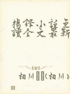 杨锋小说免费阅读全文最新章节