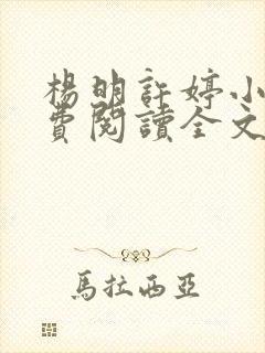 杨明许婷小说免费阅读全文最新章节