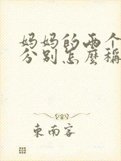 妈妈的两个妹妹分别怎么称呼
