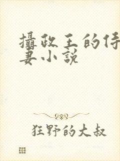 摄政王的侍爱逃妻小说