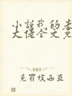 小说我的老公是大佬全文免费阅读