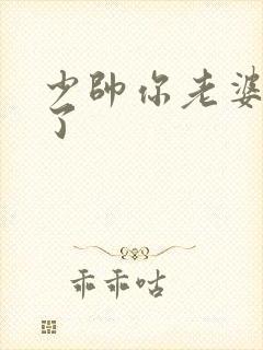 少帅你老婆又跑了封面