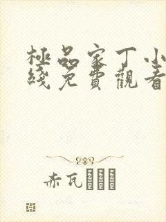 极品家丁小说在线免费观看