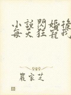小说闪婚后大叔每天狂宠我全文阅读