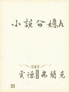 小说公媳h