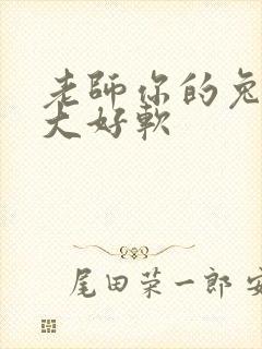 老师你的兔子好大好软