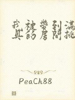 我被带到满是玩具的房间挑调作文