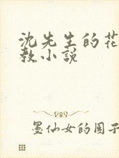 沈先生的花式管教小说