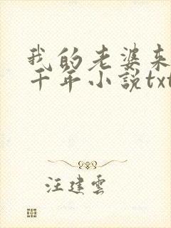 我的老婆来自一千年小说txt