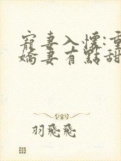宠妻入怀:重生娇妻有点甜